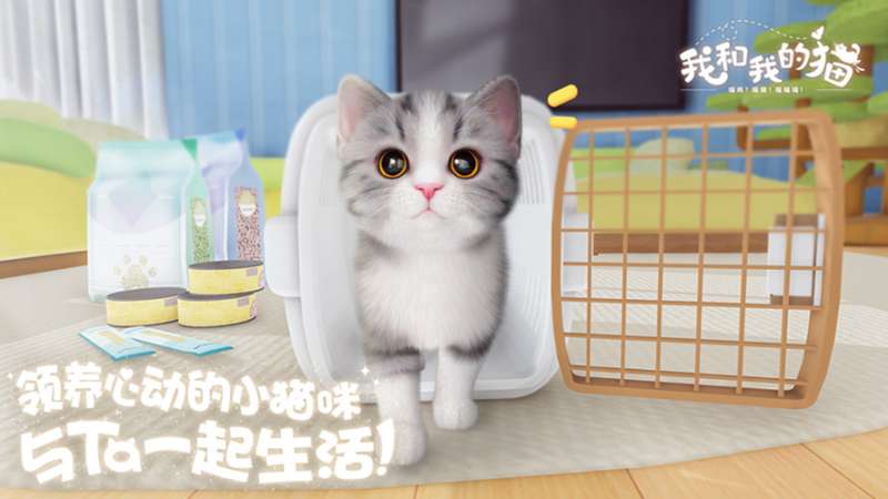 治愈系PV发布，西山居猫咪养成手游《我和我的猫》9.22测试