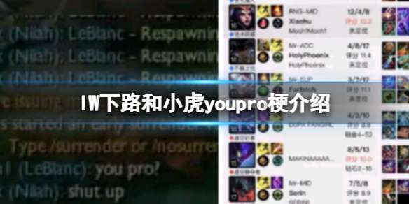 英雄联盟you pro是什么梗 IW下路和RNG小虎youpro梗介绍