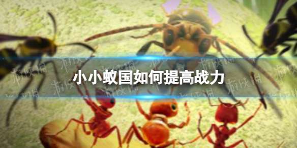 小小蚁国战斗的胜负由什么决定 小小蚁国如何影响胜负
