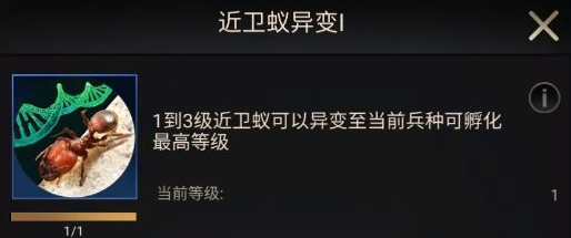 小小蚁国游戏初期进化类型选择推荐  游戏初期该进化哪些