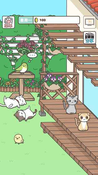 手机上云养猫的猫咪养成手游推荐 有多种类型的猫咪