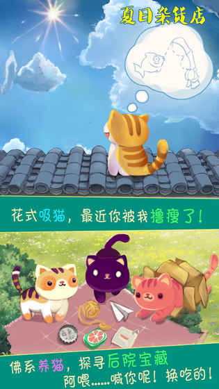 手机上云养猫的猫咪养成手游推荐 有多种类型的猫咪