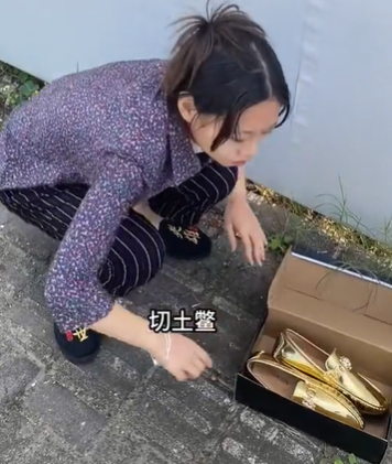 粉色蔷薇是什么梗 抖音粉色蔷薇是是什么意思