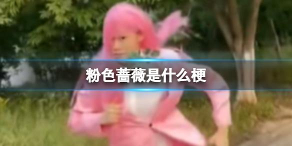粉色蔷薇是什么梗 抖音粉色蔷薇是是什么意思