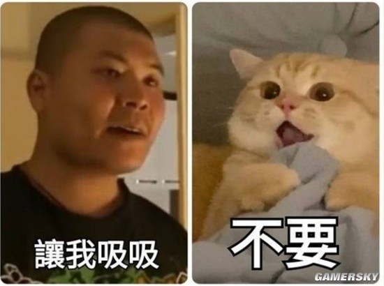 不是A的服务员就差评 小猫猫让叔叔吸吸的囧图