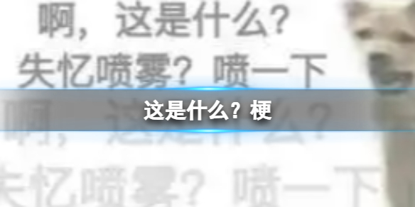 这是什么？梗 这是什么失忆喷雾喷一下什么意思