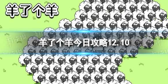 羊了个羊12月10日攻略 游戏攻略12月10日