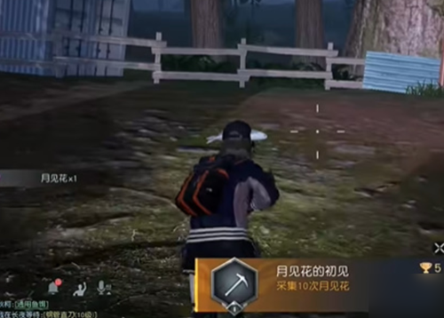 黎明觉醒月见花在哪 采集成就攻略