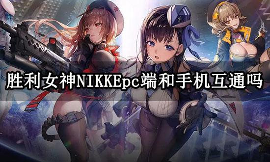 胜利女神NIKKEpc端和手机互通吗