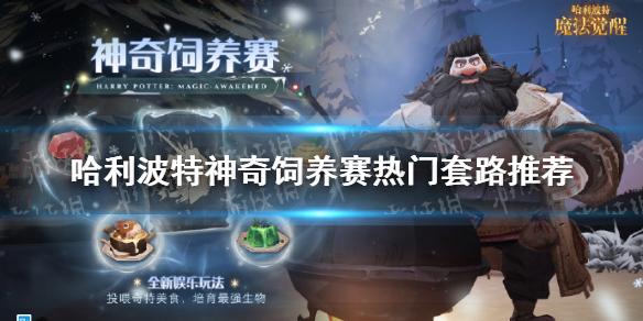 哈利波特魔法觉醒神奇饲养赛怎么打 哈利波特魔法觉醒神奇饲养赛热门套路推荐