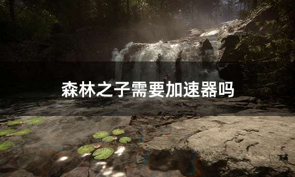 森林之子需要加速器吗 好用的加速器推荐
