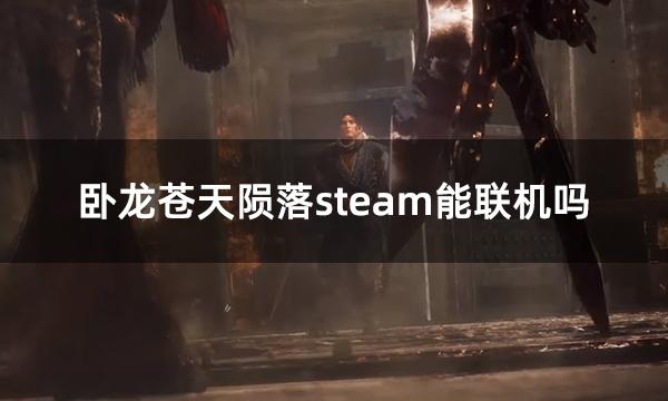 卧龙苍天陨落steam能联机吗 steam联机方法一览