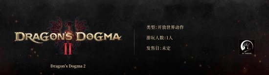 《龙之信条2》无合作模式 官网显示为单人游戏