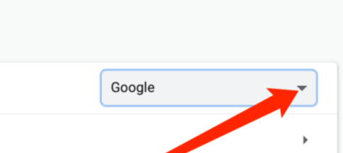 谷歌浏览器如何选择搜索引擎？谷歌浏览器选择搜索引擎的技巧