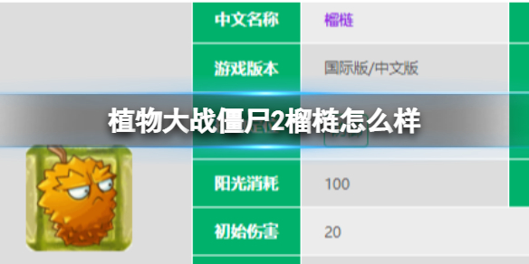 植物大战僵尸2榴梿怎么样 榴梿图鉴大全