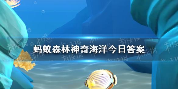 “海虹”是哪种海洋生物 神奇海洋今日答案海虹1.16